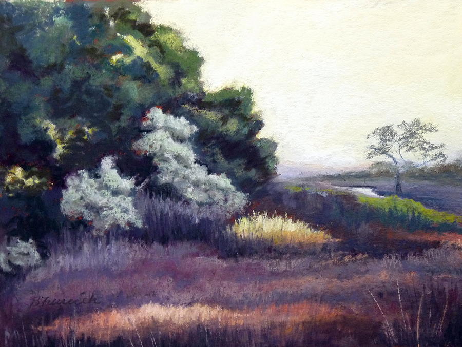 Pinckney Island Preserve Pastel by Bonnie Freireich - Fine Art America