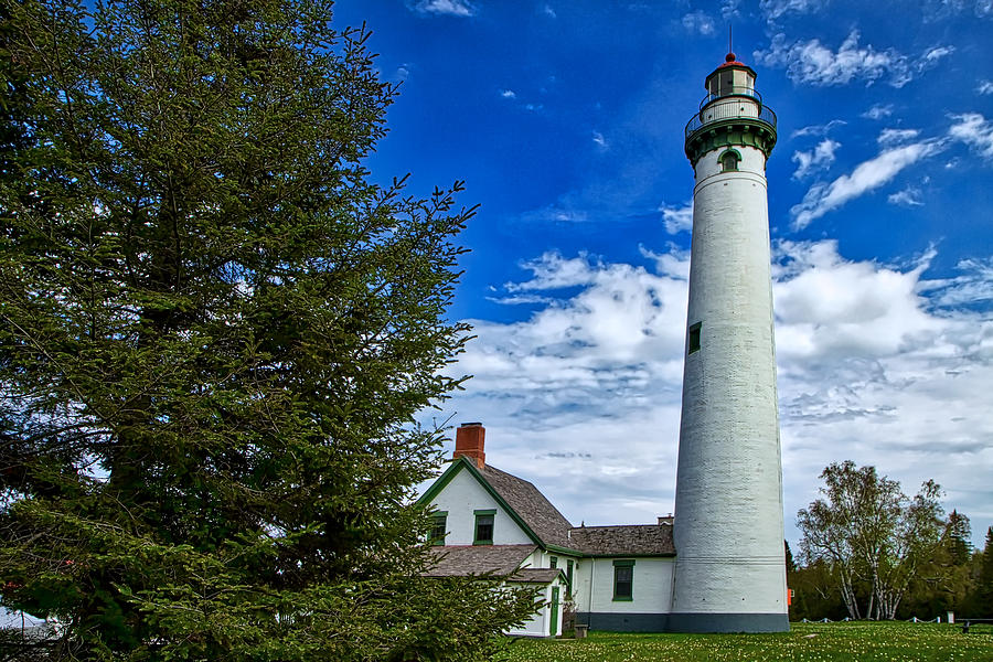 Pine at New Presque Isle Light Photograph by Richard Gregurich