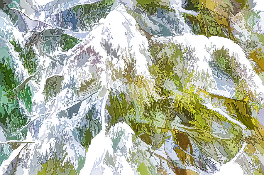 Pine branch tree under snow 3 Painting by Jeelan Clark
