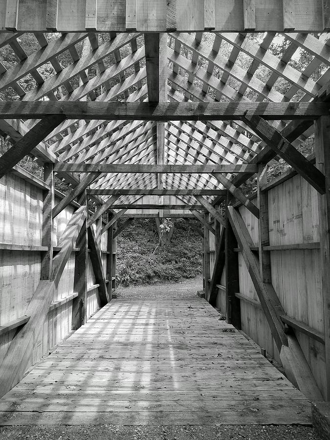 Pine Bridge Black and White Photograph by Michael Hills