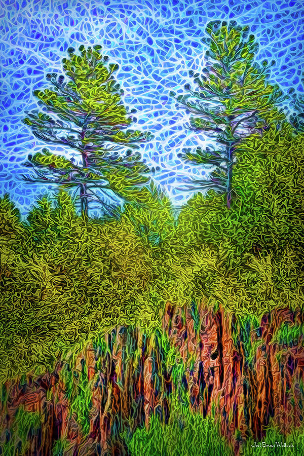 Pine Cliff Sunrise Digital Art by Joel Bruce Wallach