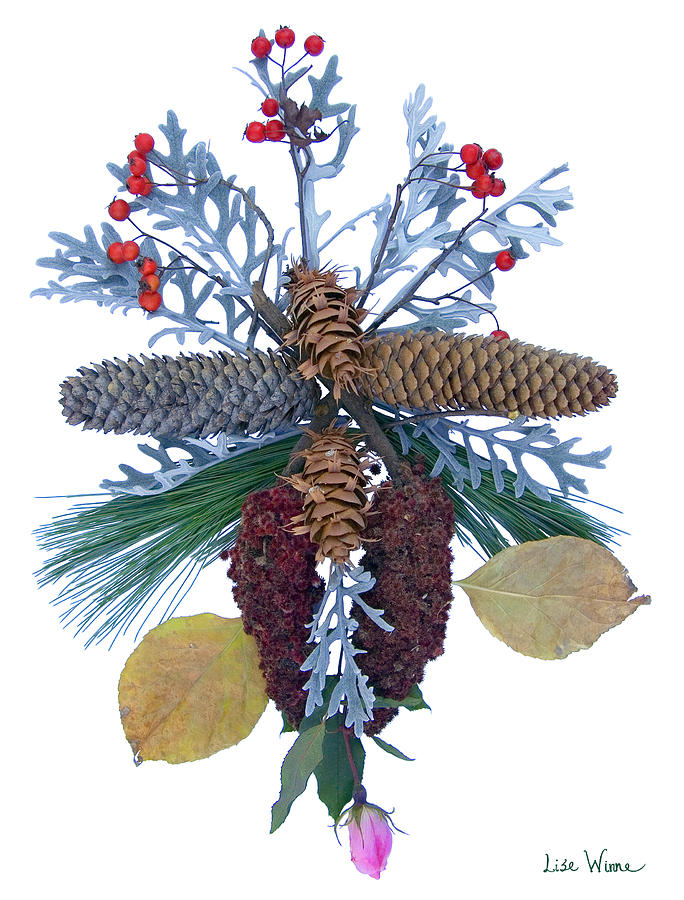 Pine Cone Bouquet Digital Art by Lise Winne