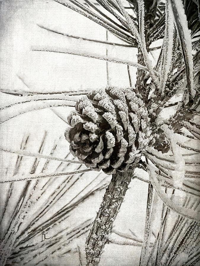 Pine Cone Frost Digital Art by Diane Chandler