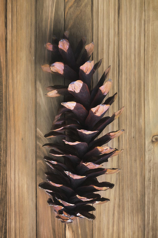Nature Photograph - Pine Cone I by Tom Mc Nemar