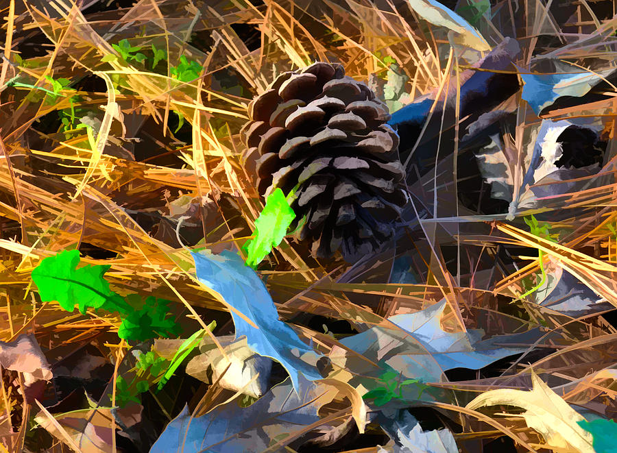 Pine Cone In Abstract 1 By Kristalin Davis Photograph