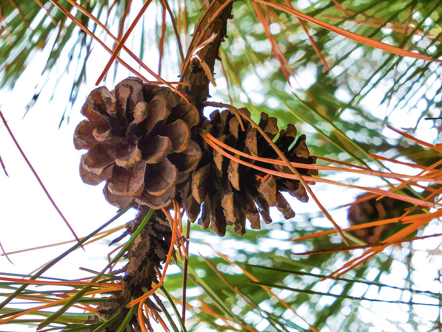 Pine Cone on a Pine Tree Painting by Jeelan Clark