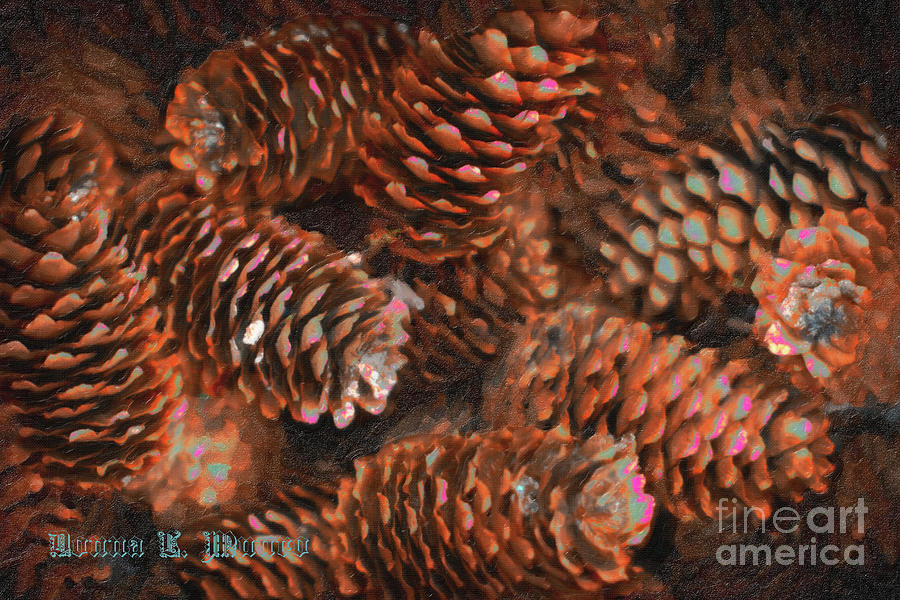Pine Cones Digital Art by Donna L Munro