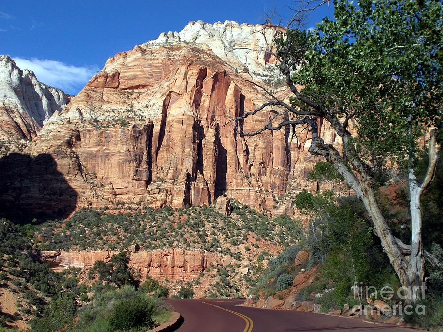 Pine Creek Canyon ZION Photograph by Jerry Bokowski - Fine Art America