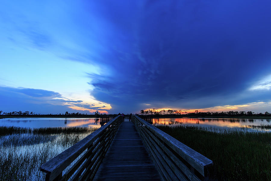 Pine Glades Sunset Photograph by Stefan Mazzola