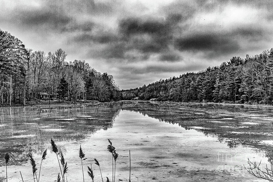 Pine Lake in Black and White Photograph by William Norton