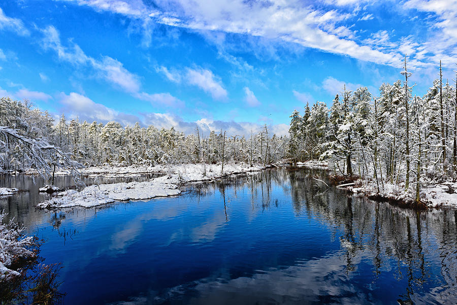 Pine Lands Winter Wonder Land Photograph by Louis Dallara