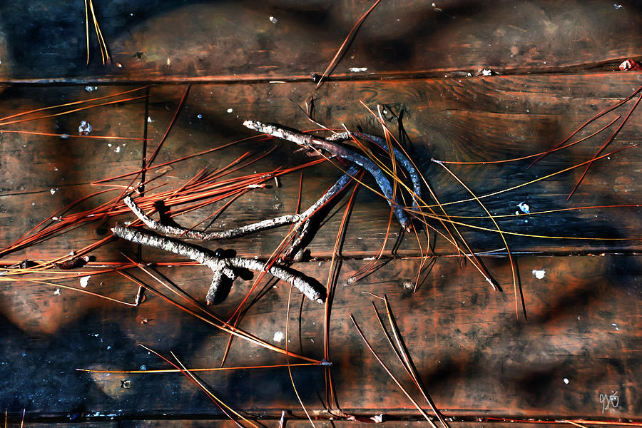 Pine Needles And Sticks Photograph
