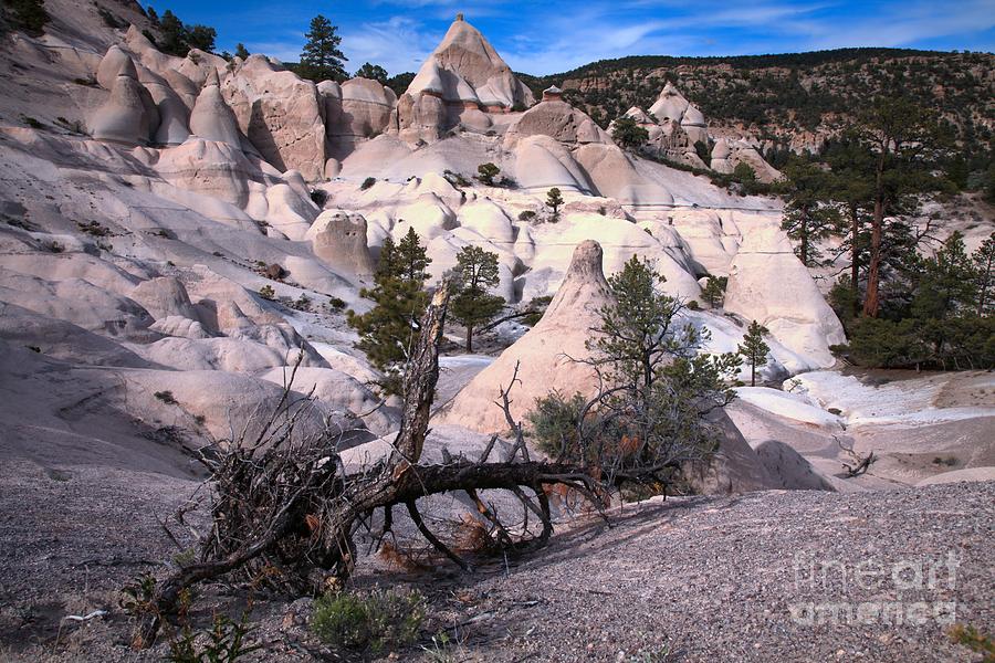 Pine Park Tent Rock Canyon Photograph by Adam Jewell