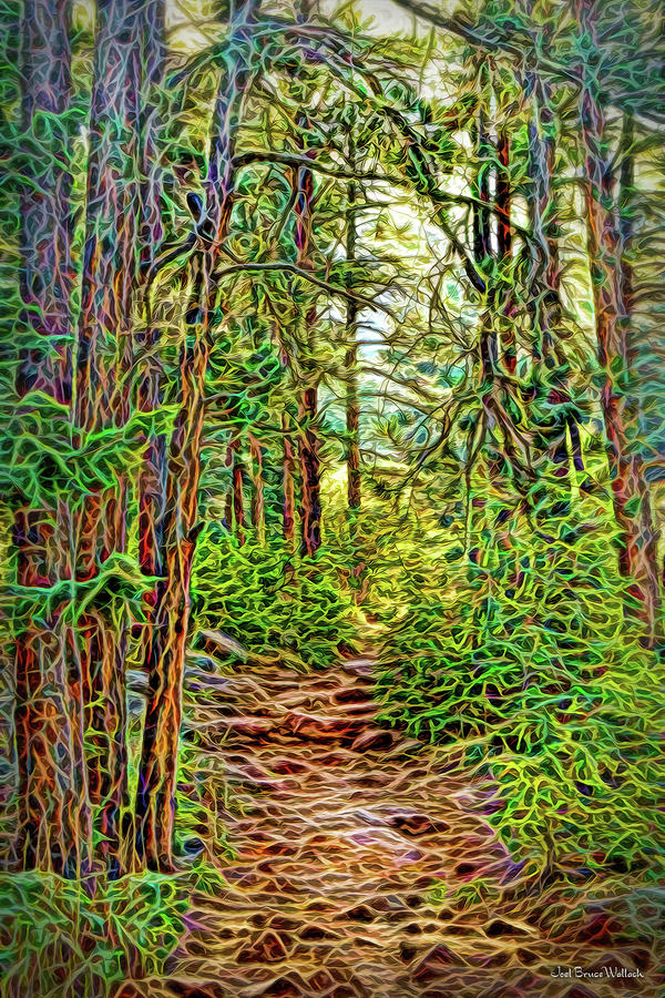 Pine Path Visions Digital Art by Joel Bruce Wallach
