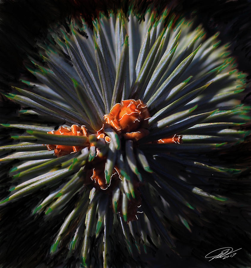 Pine Rose Digital Art by Leon DeVose