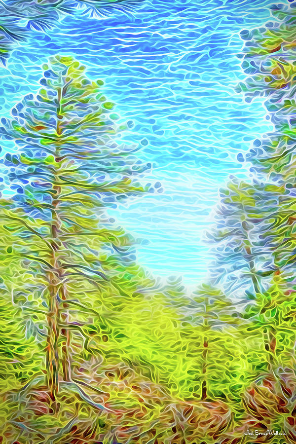 Pine Sky Vista Digital Art by Joel Bruce Wallach