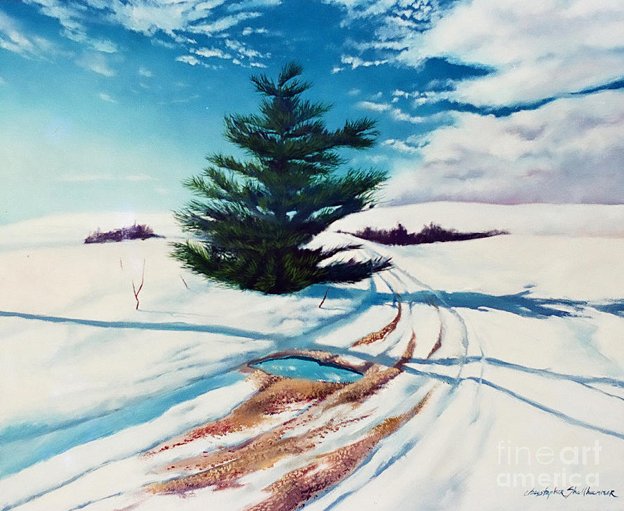 Pine Tree Along The Country Road Painting by Christopher Shellhammer