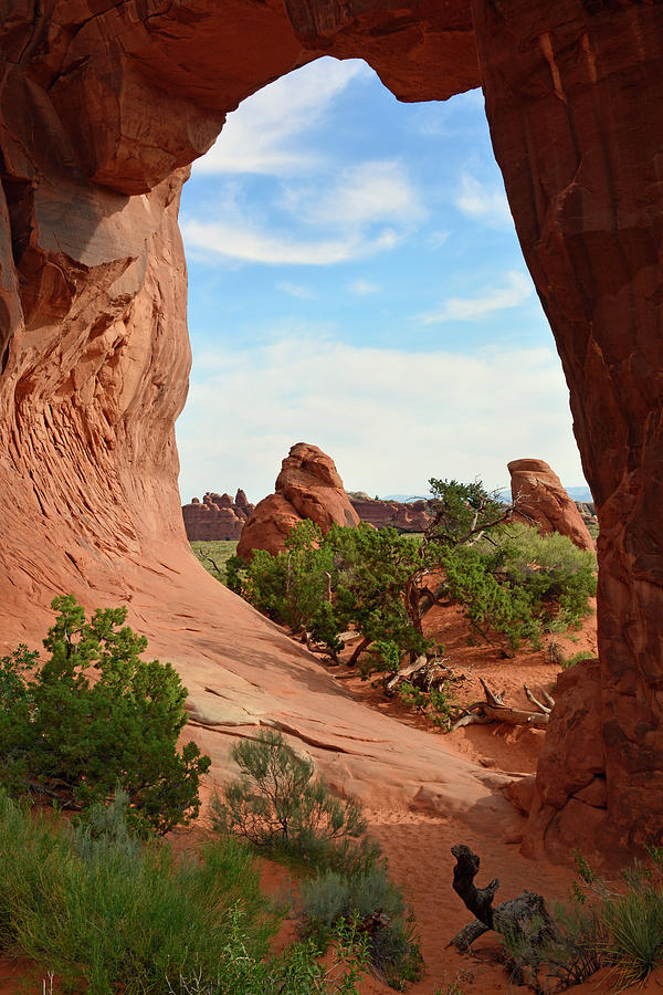 Pine Tree Arch in Utah 02 Photograph by Bruce Gourley