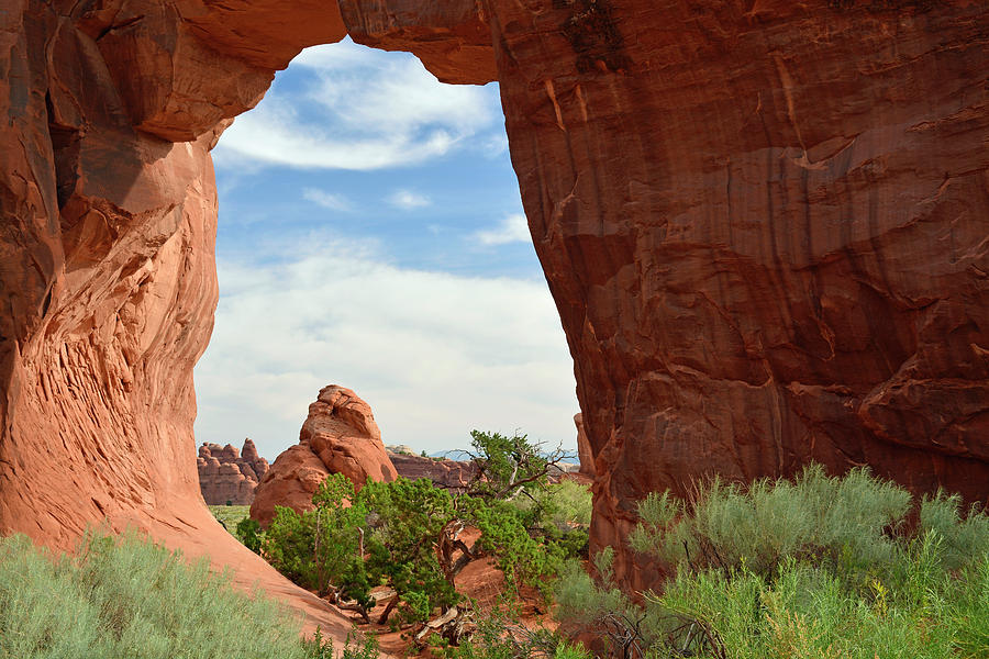 Pine Tree Arch in Utah Photograph by Bruce Gourley