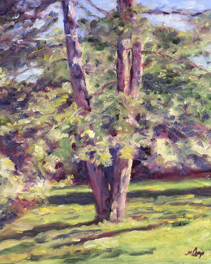 Pine Tree in Sunlight Painting by Michael Camp