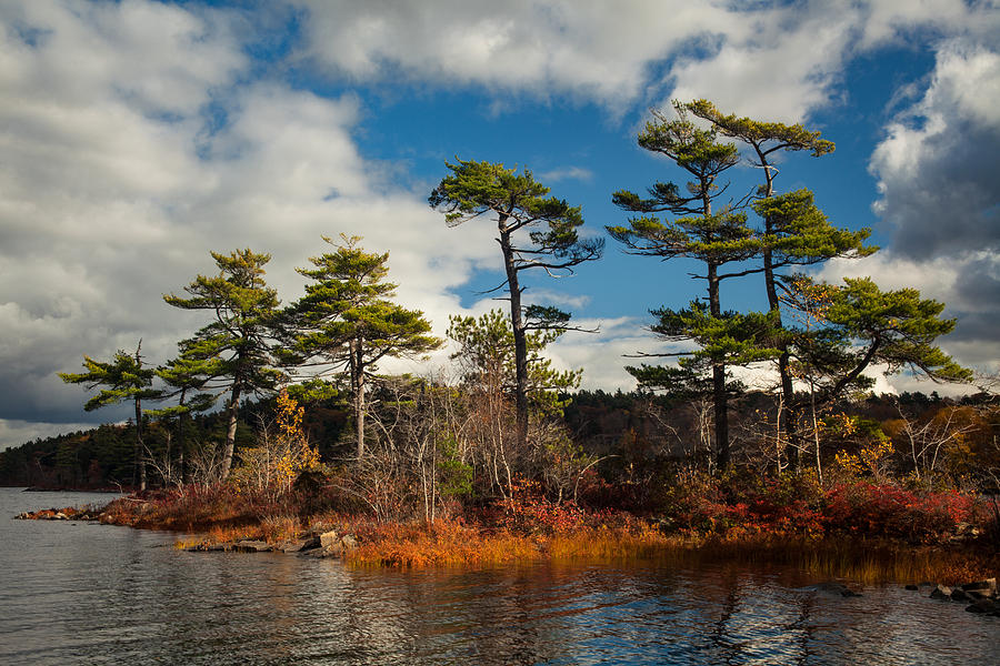 Pine Tree Inlet Photograph by Irwin Barrett