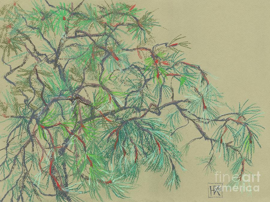 Impressionism Drawing - Pine-tree by Julia Khoroshikh