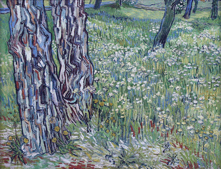 Pine Trees And Dandelions In The Garden Of Saint Paul Hospital Cropped Version Painting By