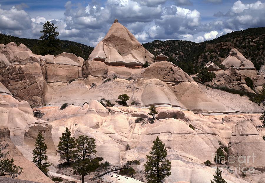 Pine Trees And Tent Rocks Photograph by Adam Jewell
