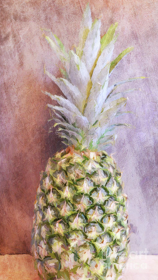 Pineapple 6 Photograph by Andrea Anderegg