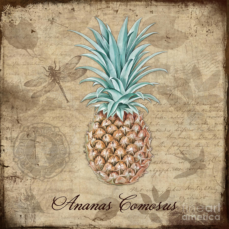Pineapple, Ananas Comosus Vintage Botanicals collection Painting by Tina Lavoie