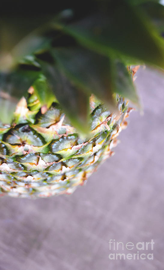 Pineapple Photograph by Andrea Anderegg