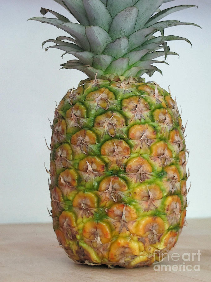 Pineapple Photograph by Ann Horn
