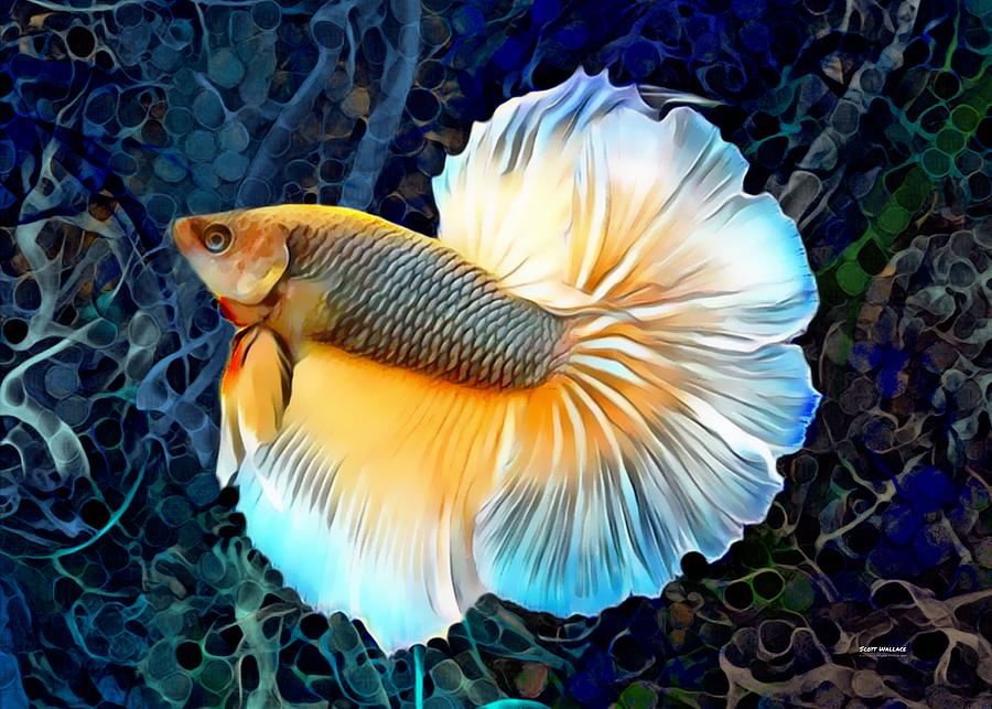 Pineapple Betta Digital Art by Scott Wallace Digital Designs