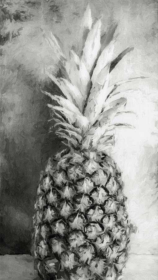 Pineapple Black and White Photograph by Andrea Anderegg