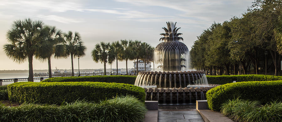 Pineapple Fountain and Palm Trees Charleston SC Photograph by John McGraw