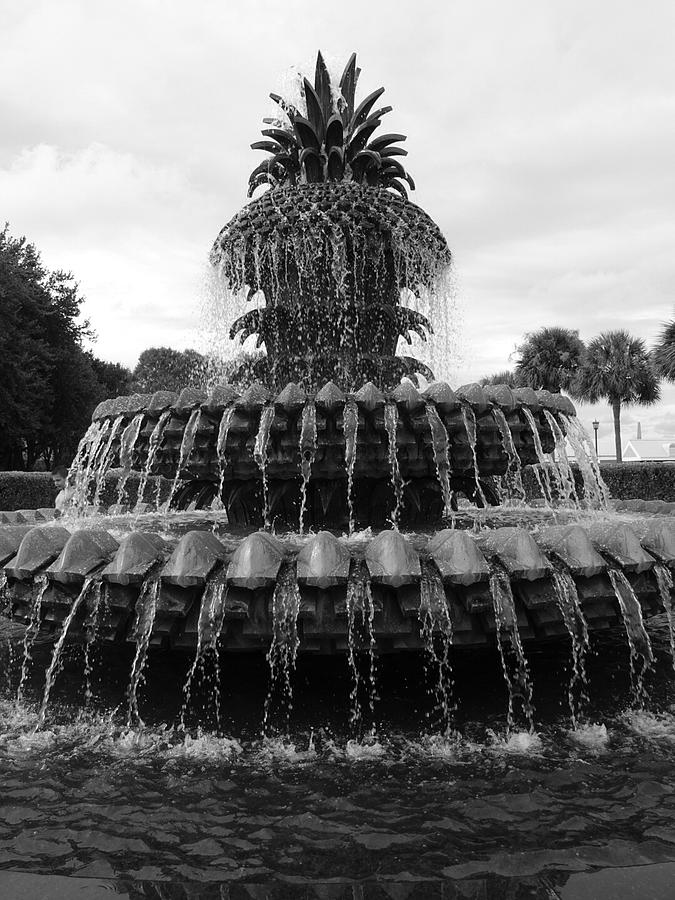 Pineapple Fountain BW Photograph by FineArtRoyal Joshua Mimbs