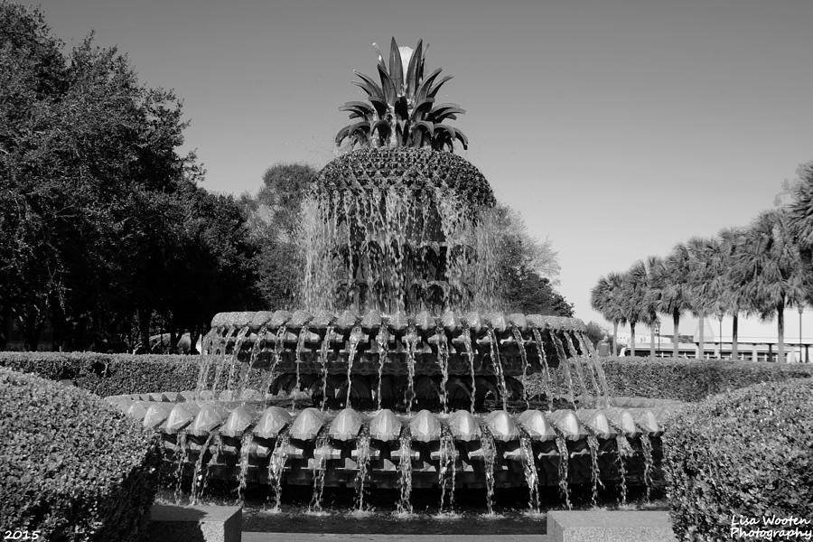 Pineapple Fountain Charleston SC Black and White Photograph by Lisa Wooten