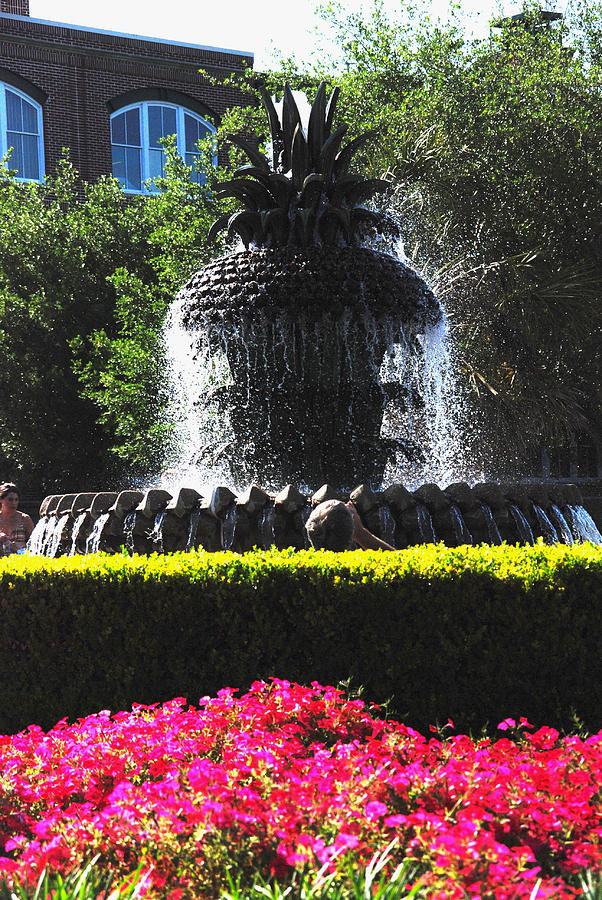 Landmark Photograph - Pineapple Fountain Charleston SC by Susanne Van Hulst