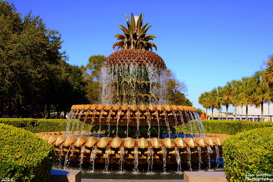 Pineapple Fountain Charleston SC Photograph by Lisa Wooten