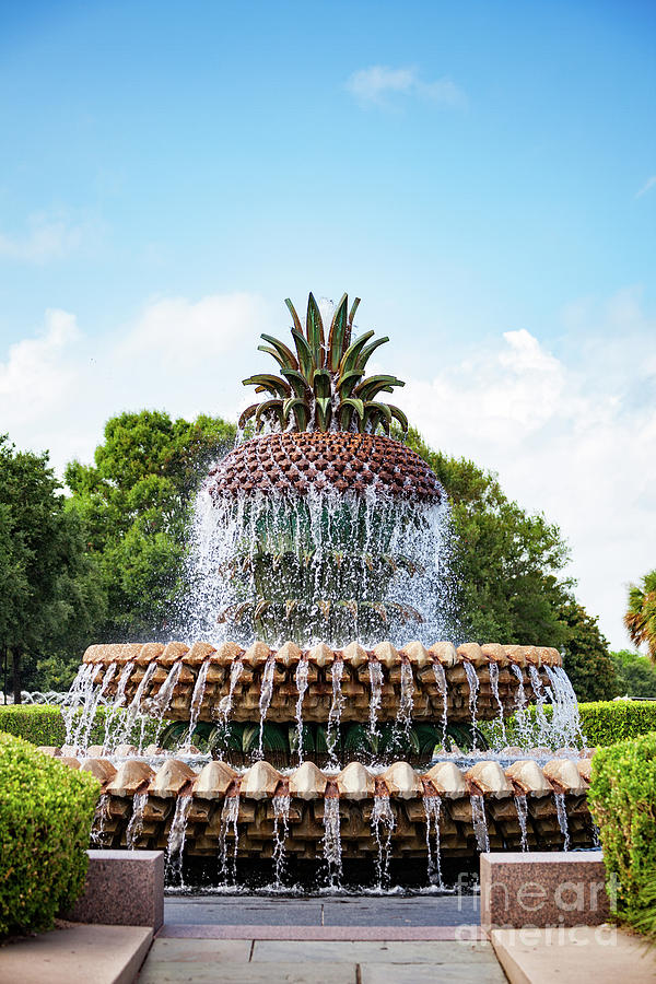 Pineapple Fountain In Charleston South Carolina Photograph by Leslie Banks