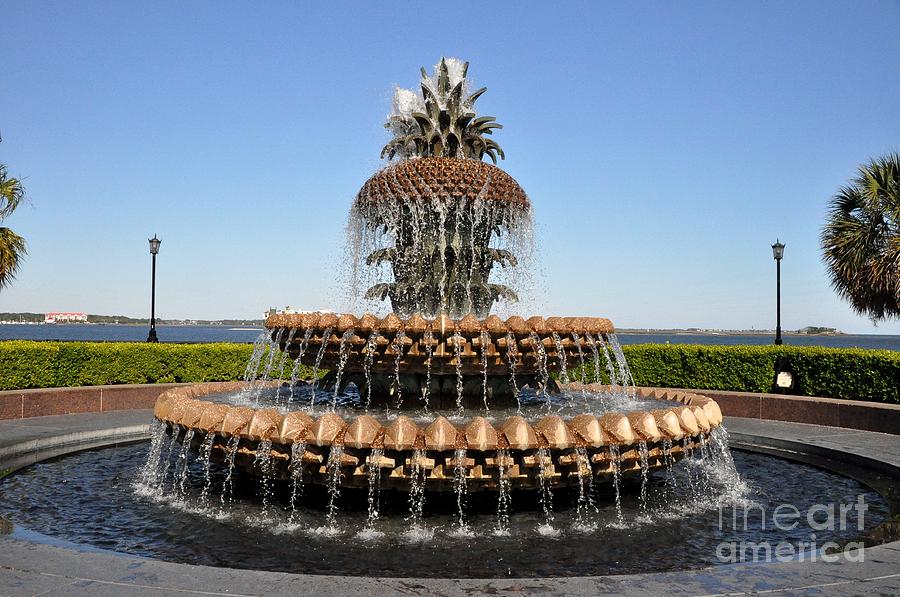 Pineapple Fountain In The Park Photograph by John Black