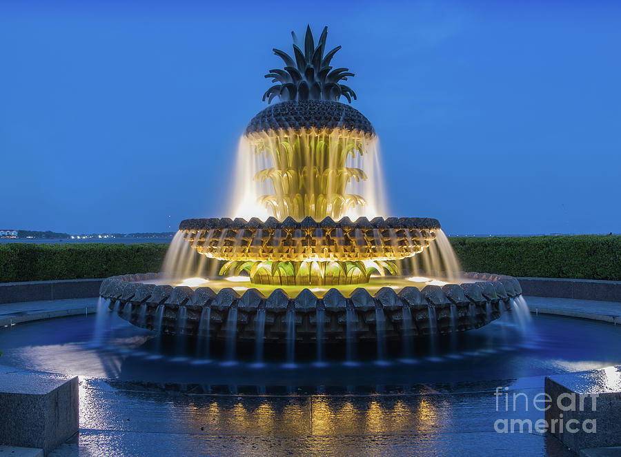 Pineapple Fountain Photograph by Jerry Fornarotto