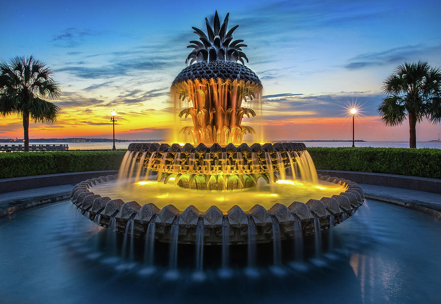 Pineapple fountain Photograph by Jonathan Ross
