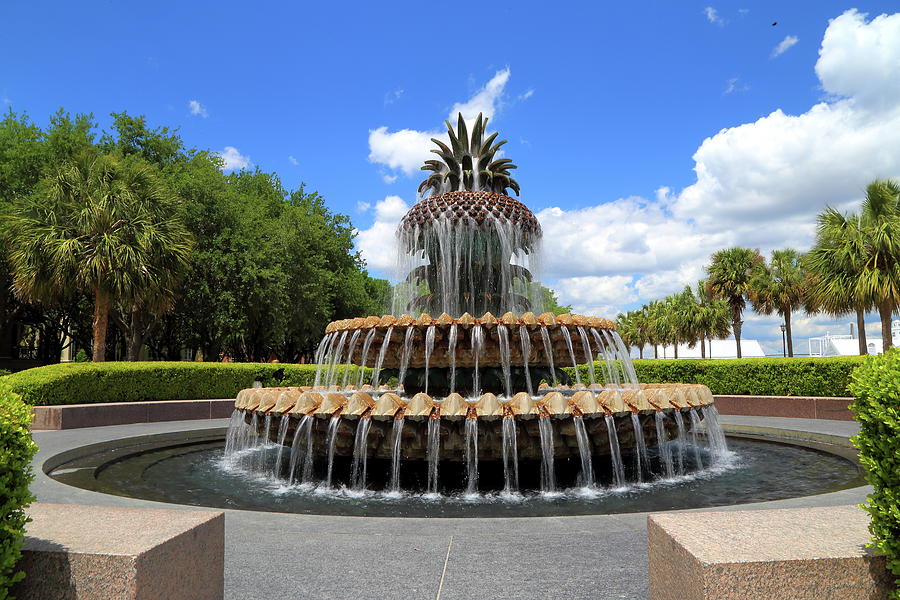 Pineapple Fountain Photograph by Kevin Craft