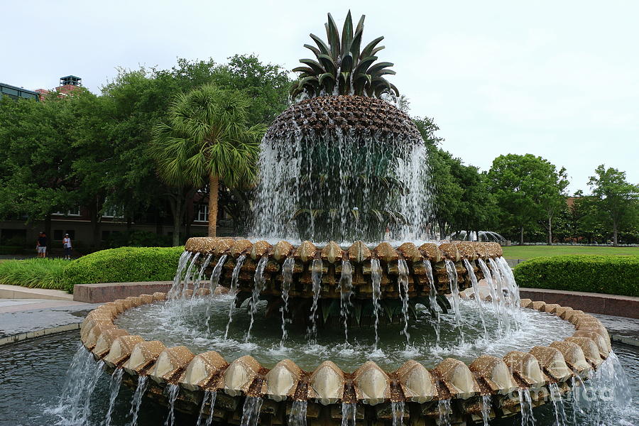 Pineapple Fountain River Park  Photograph by Christiane Schulze Art And Photography