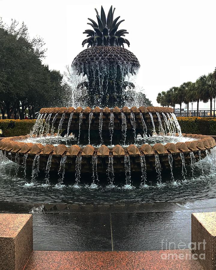 Pineapple Fountain Photograph by Wild Haven Photography Pixels