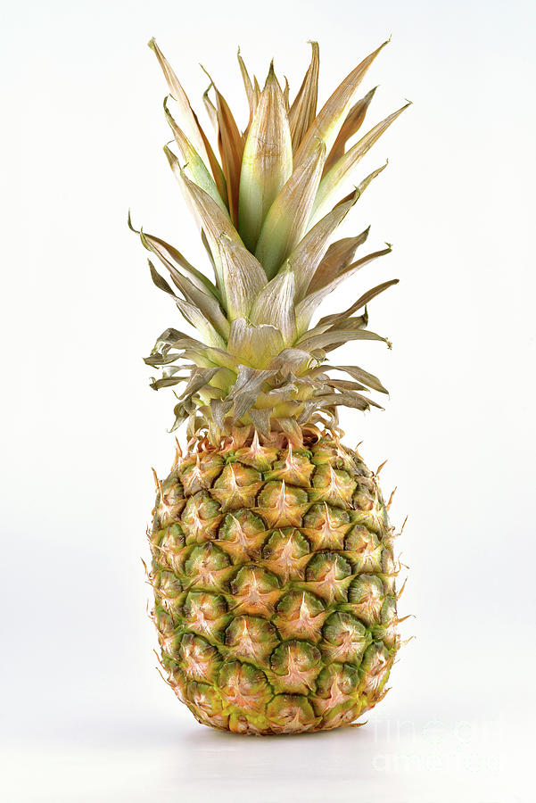 Pineapple Photograph by George Atsametakis
