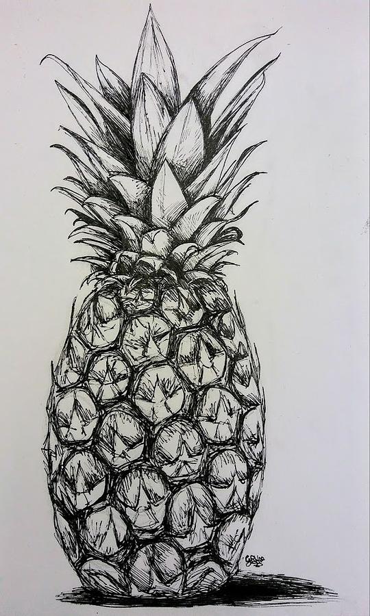 How to Draw a Pineapple | A Step-by-Step Tutorial for Kids