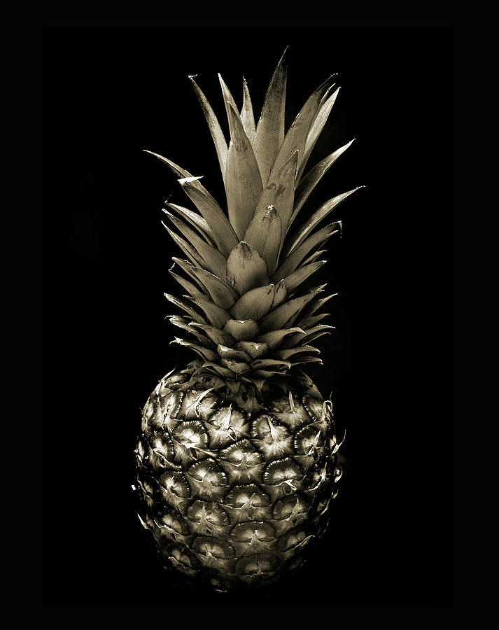 Pineapple in Sepia. Photograph by Terence Davis