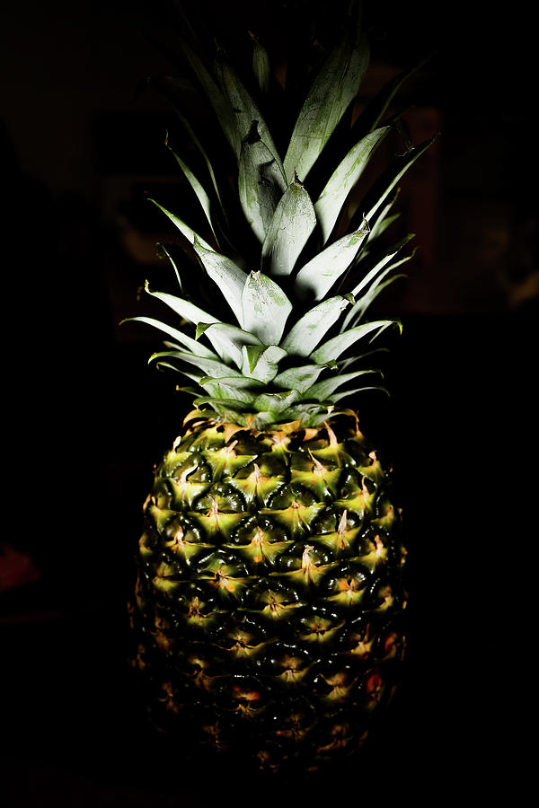 Pineapple In Shine Photograph by Hyuntae Kim